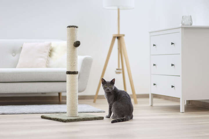 KERBL Kratzsäule Opal Maxi